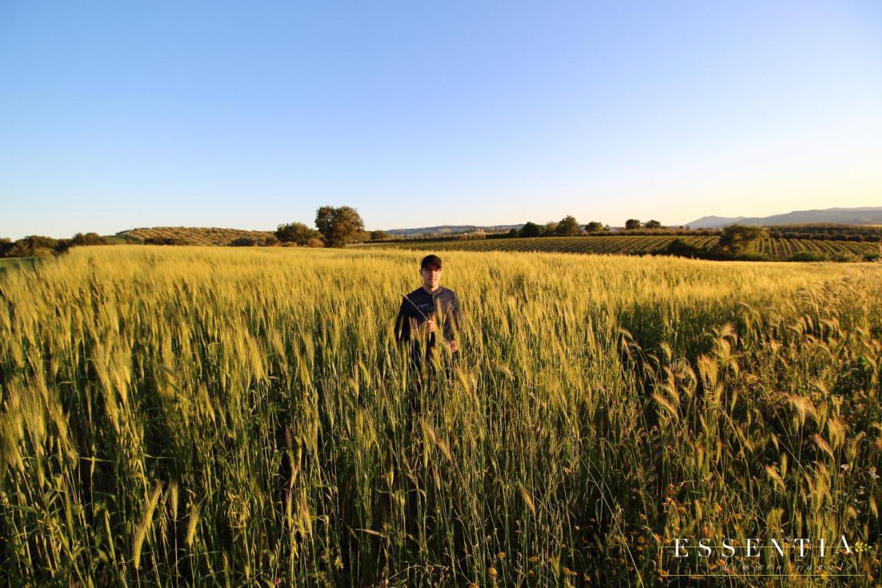 Agriturismo Essentia Dimora Rurale Larino Luaran gambar