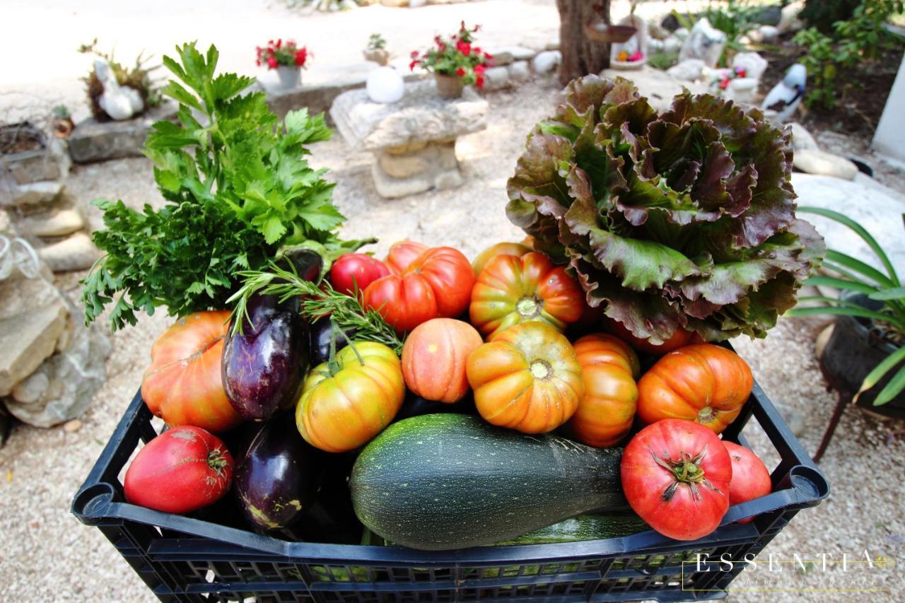 Agriturismo Essentia Dimora Rurale Larino Luaran gambar