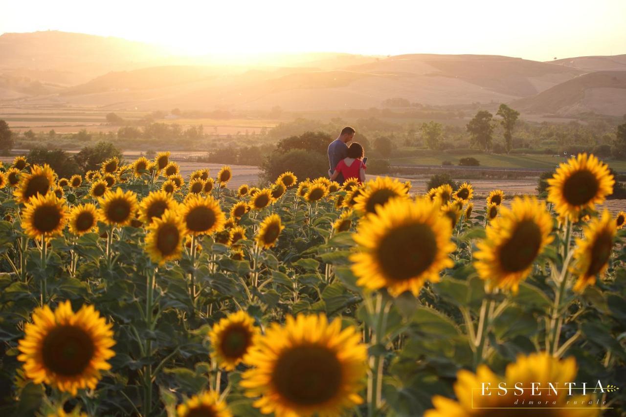 Agriturismo Essentia Dimora Rurale Larino Luaran gambar
