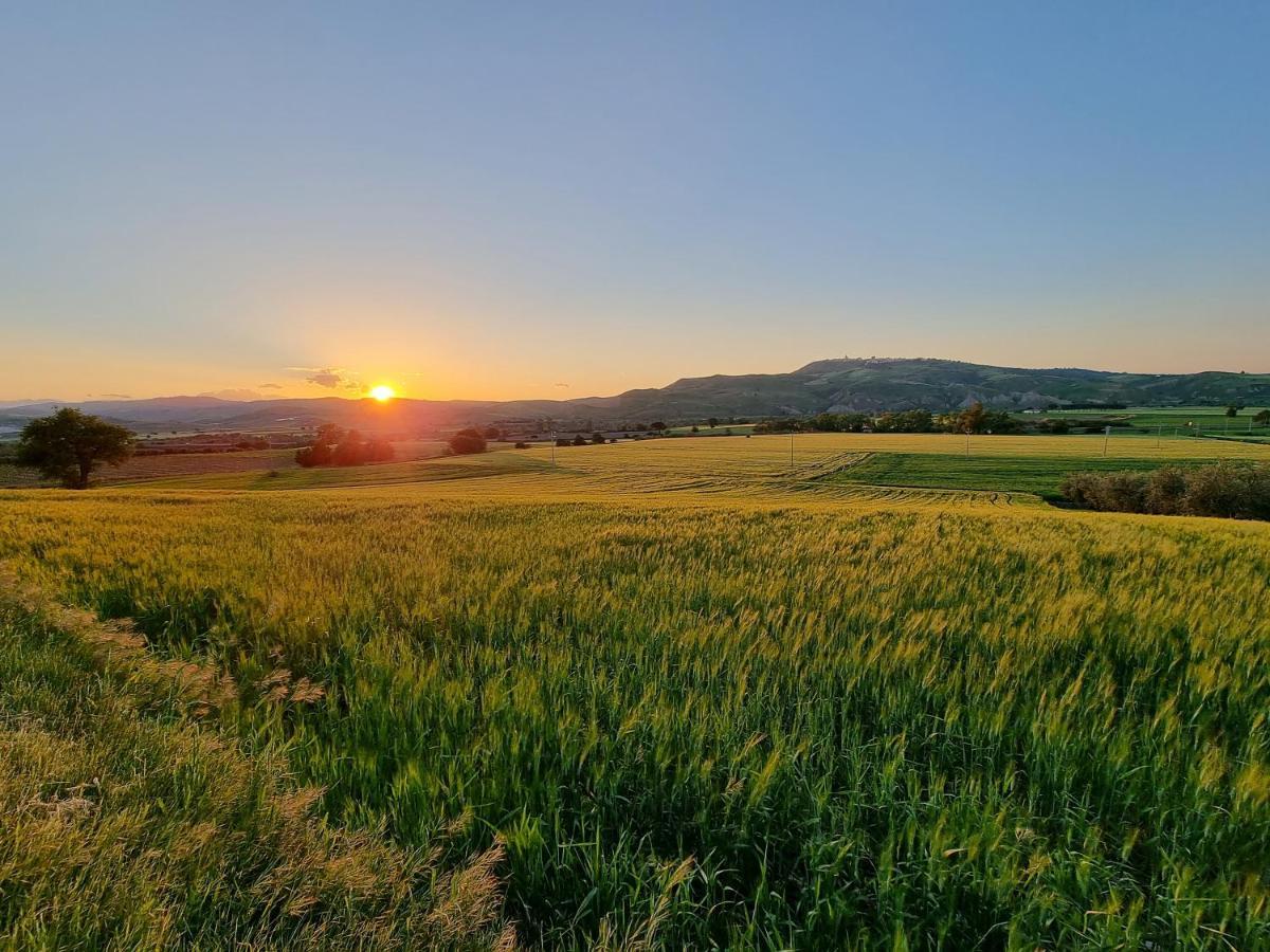 Agriturismo Essentia Dimora Rurale Larino Luaran gambar