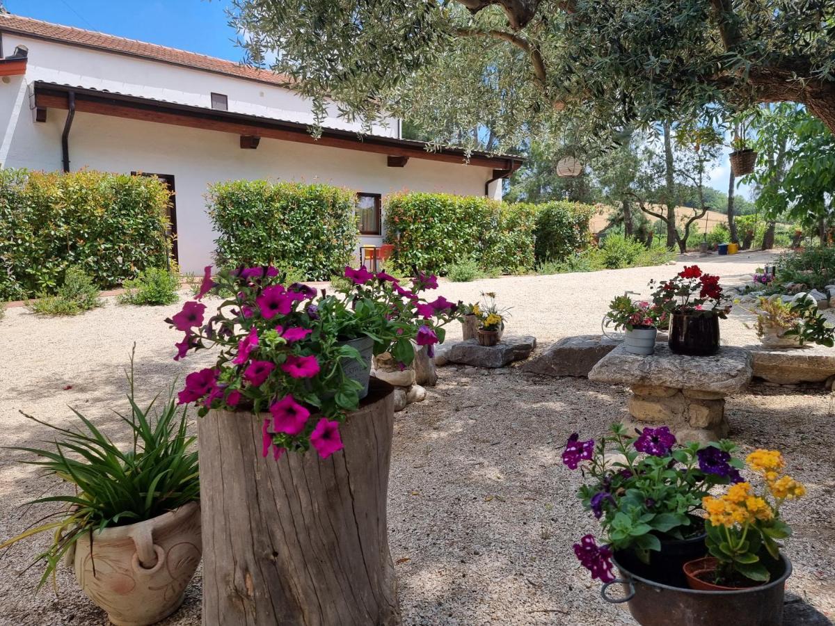 Agriturismo Essentia Dimora Rurale Larino Luaran gambar
