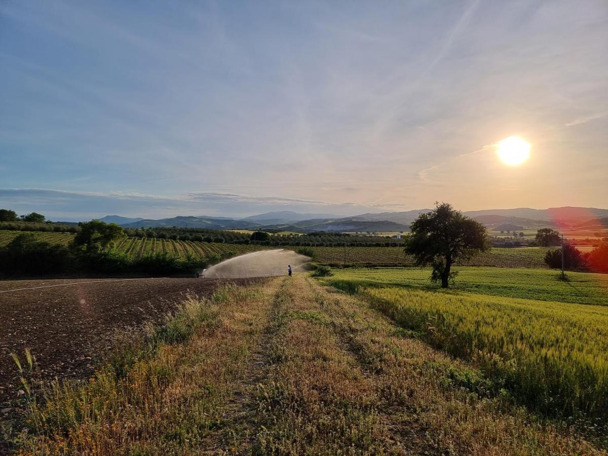 Agriturismo Essentia Dimora Rurale Larino Luaran gambar