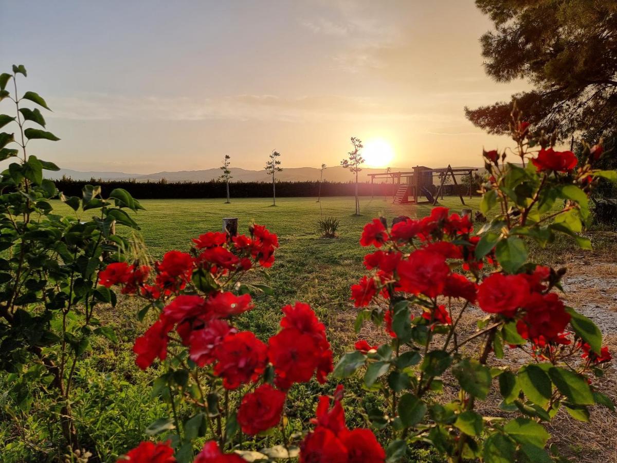 Agriturismo Essentia Dimora Rurale Larino Luaran gambar