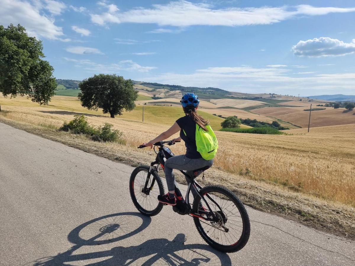 Agriturismo Essentia Dimora Rurale Larino Luaran gambar