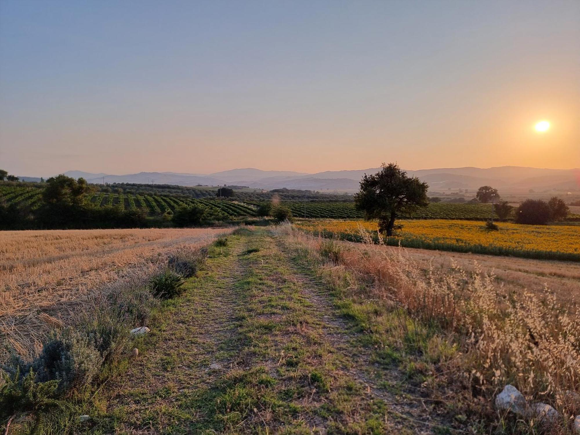 Agriturismo Essentia Dimora Rurale Larino Luaran gambar