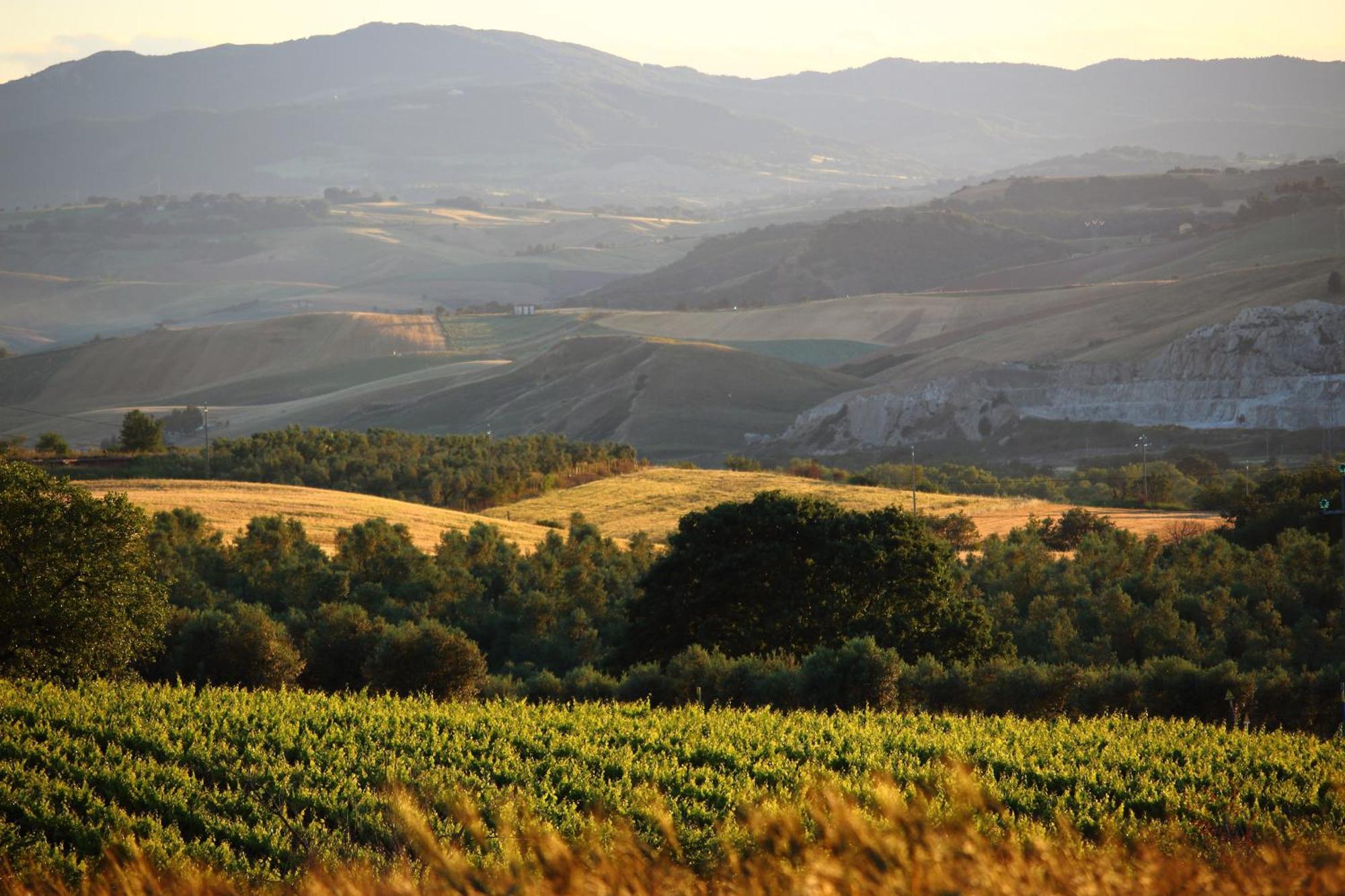 Agriturismo Essentia Dimora Rurale Larino Luaran gambar