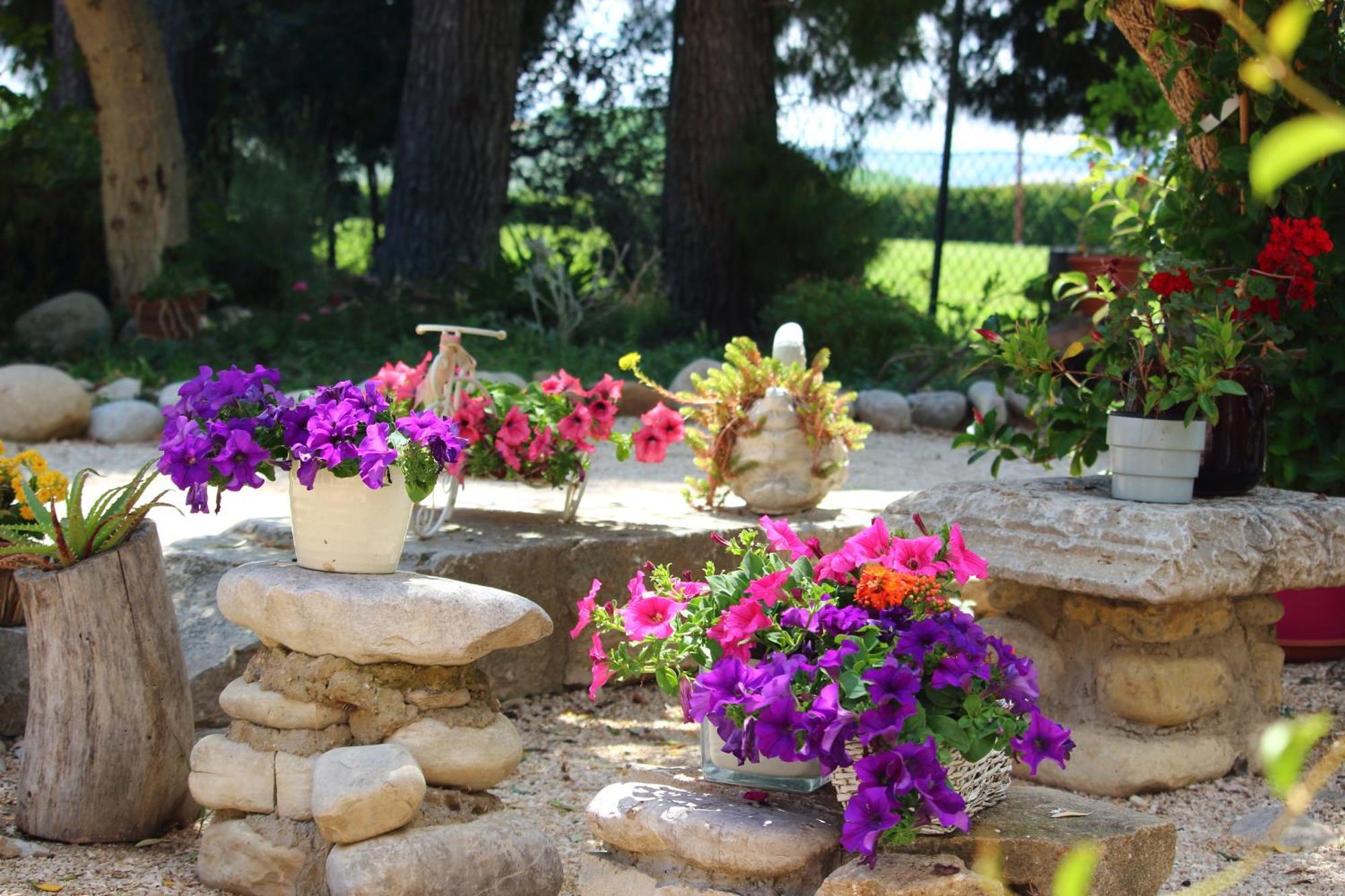 Agriturismo Essentia Dimora Rurale Larino Luaran gambar