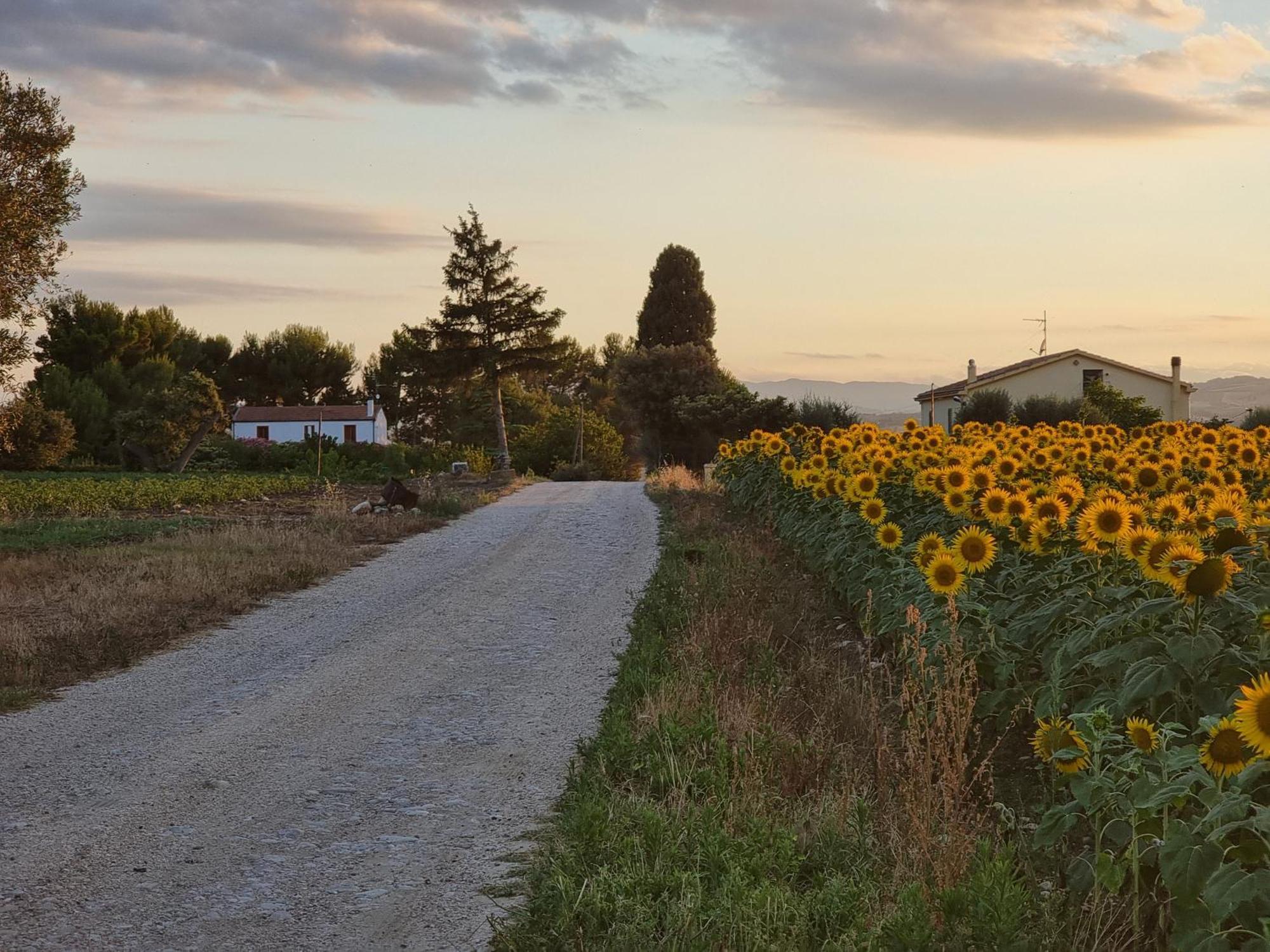 Agriturismo Essentia Dimora Rurale Larino Luaran gambar
