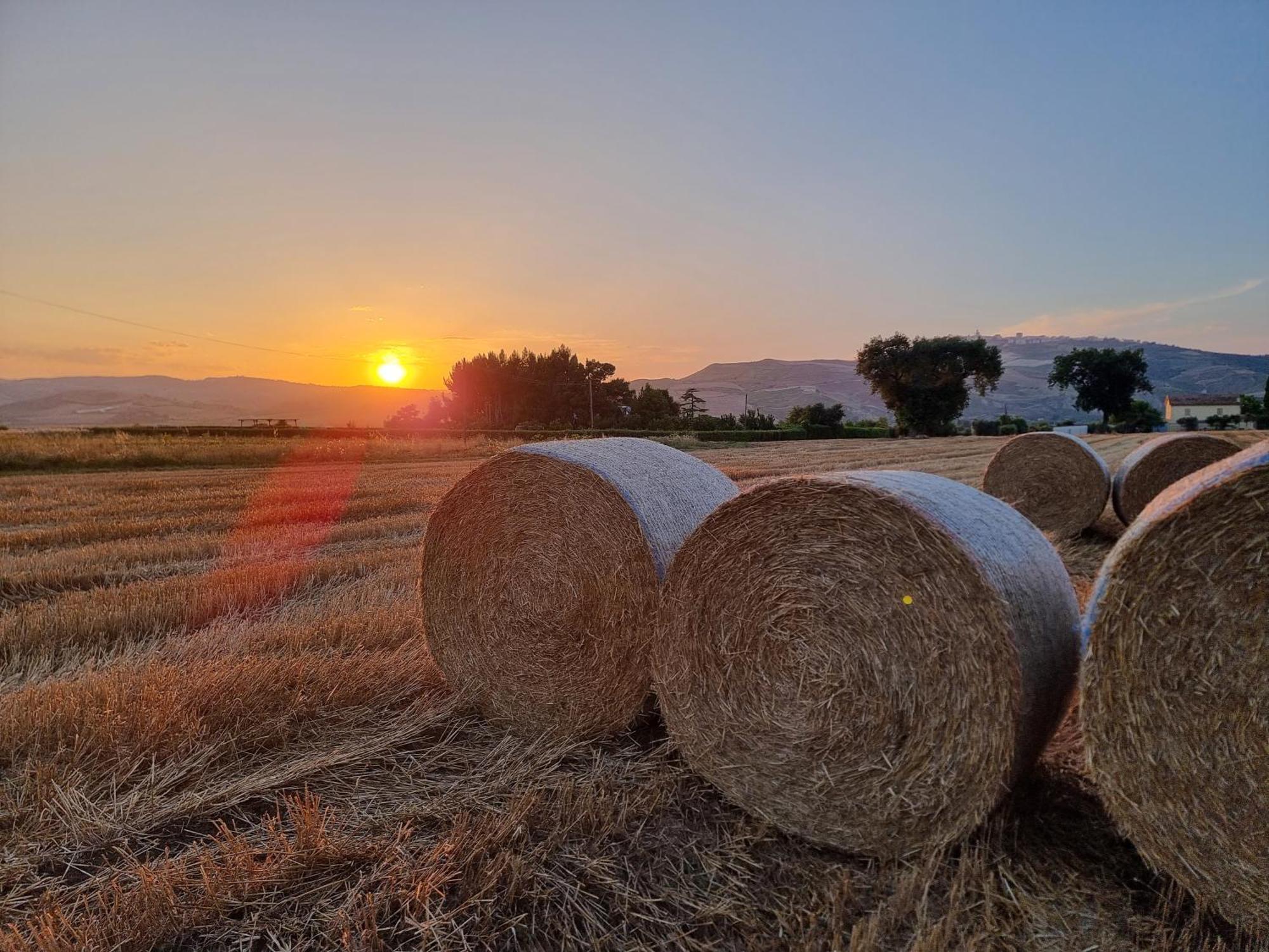 Agriturismo Essentia Dimora Rurale Larino Luaran gambar