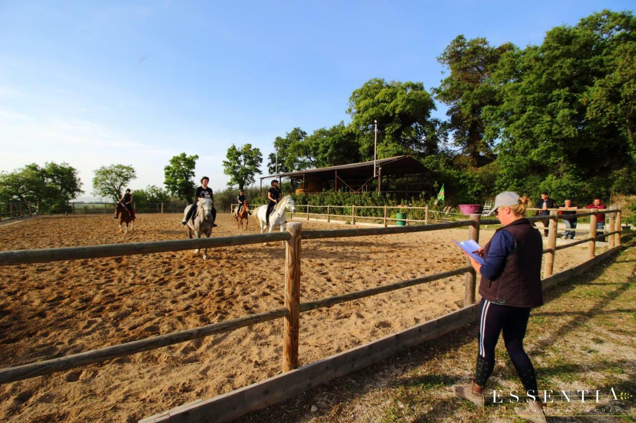 Agriturismo Essentia Dimora Rurale Larino Luaran gambar
