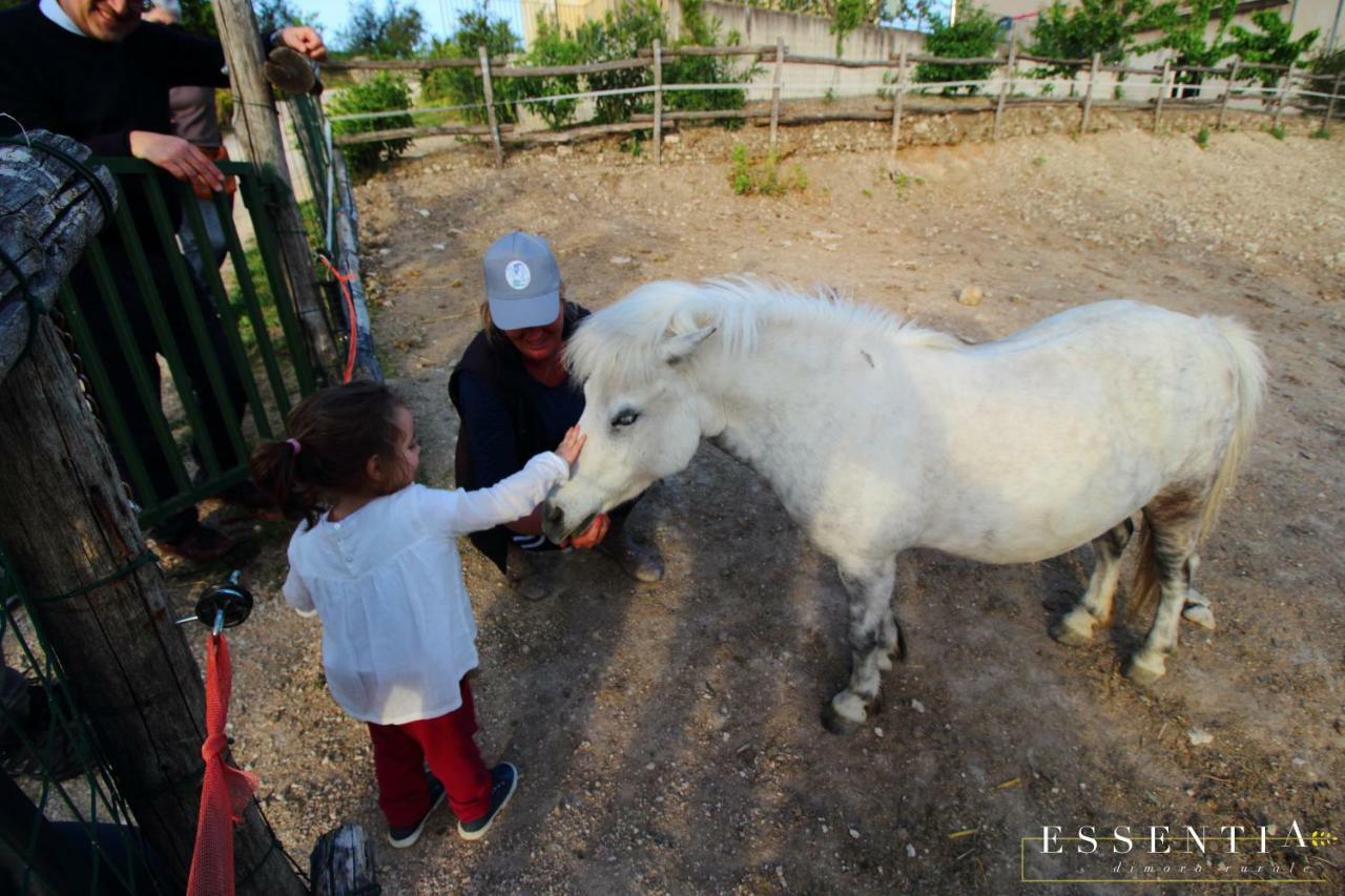 Agriturismo Essentia Dimora Rurale Larino Luaran gambar